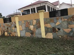 Best Solution to Protect Your Wall