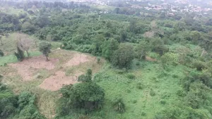 30 Acres of Island Akosombo