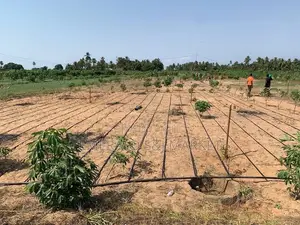 Solar Water Pump