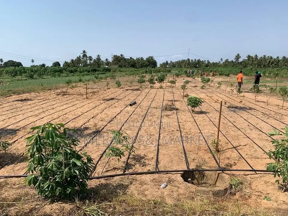 Solar Water Pump