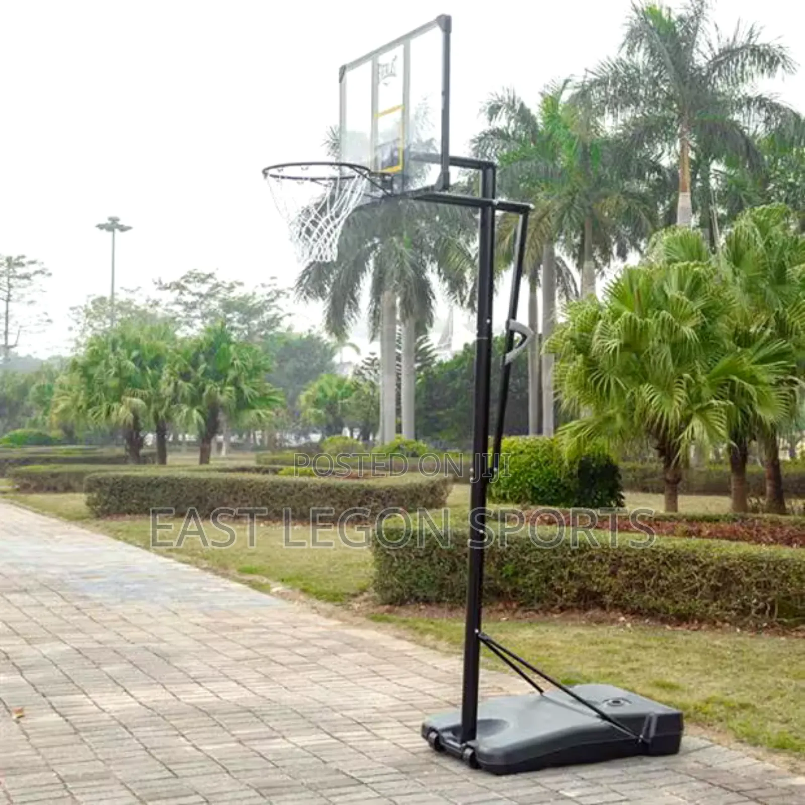Everlast Basketball Stand Fibre Glass Backboard Hoop Rim