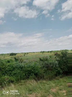 5000+ of Farm Land for Long Term Lease