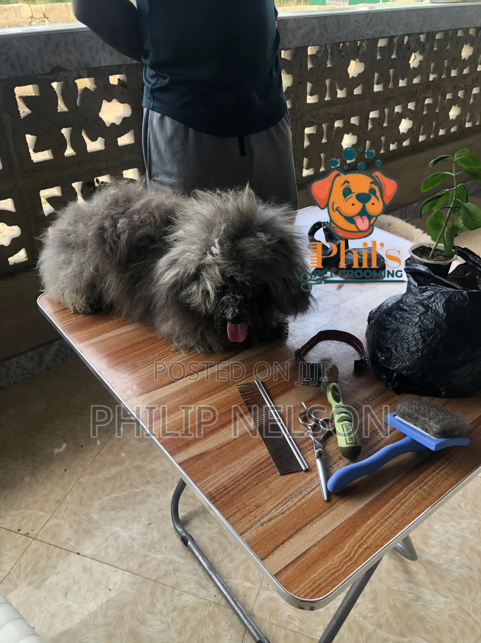 Dog Grooming Services