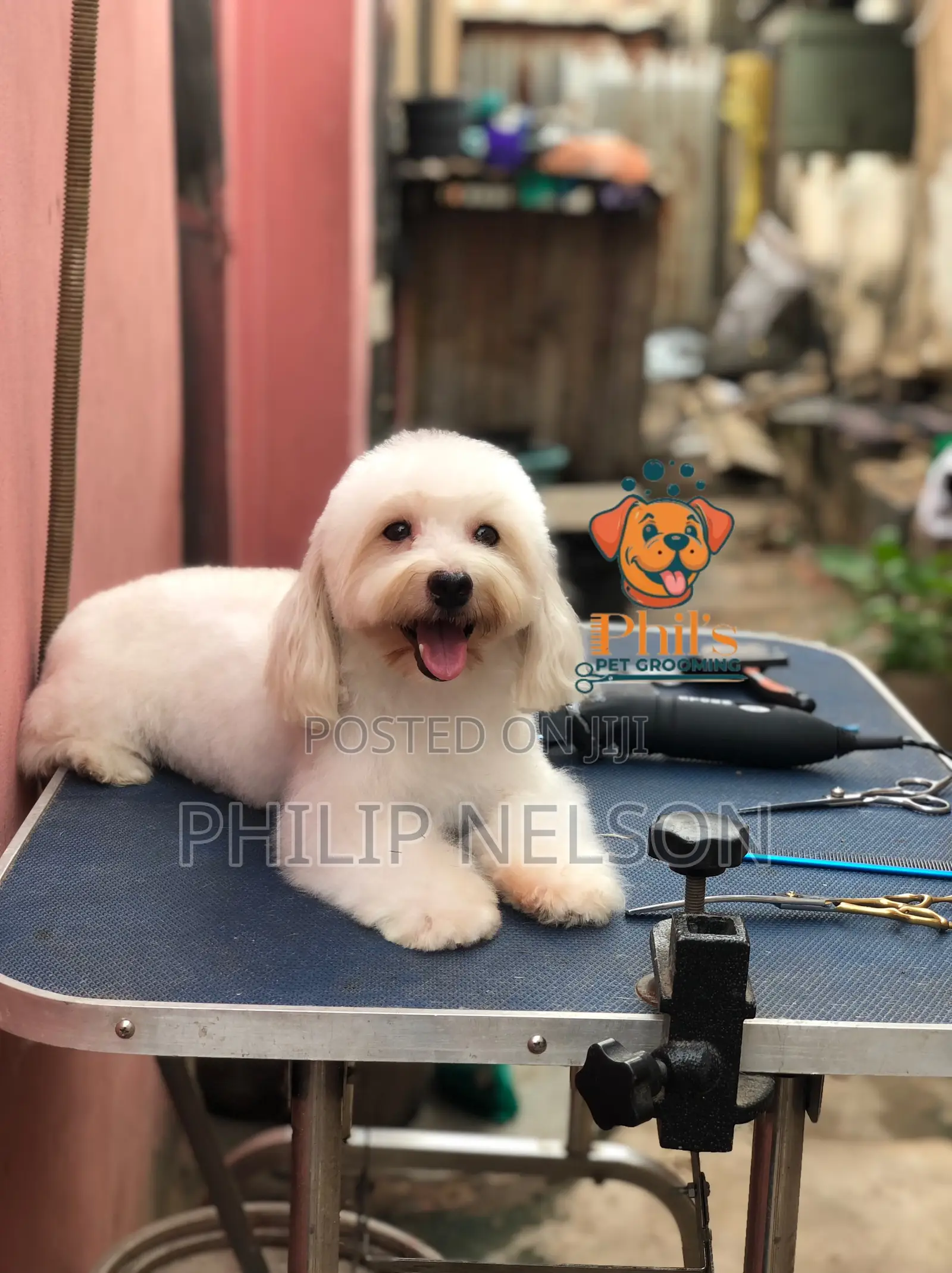 Grooming Services