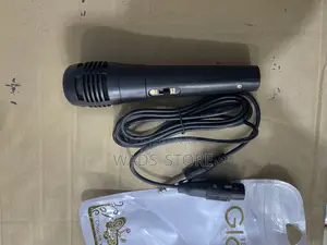 Microphone Speaker