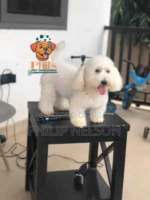 Grooming Services