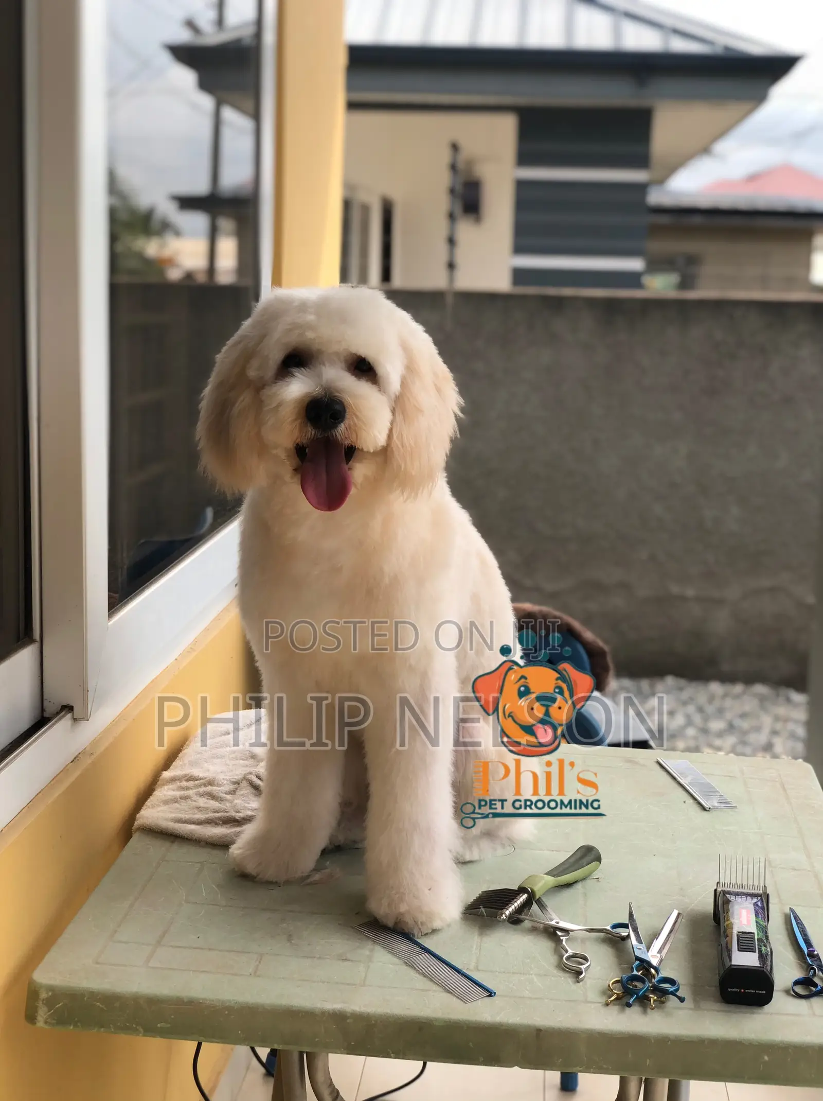 Grooming Services