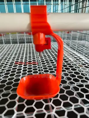 Chicken Nipple Withcup