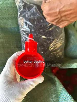 Chicken Nipple Withcup