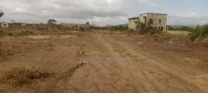 50 Acres of Land for Sale Located at Oyibi And