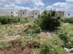 Land Titled/Registed