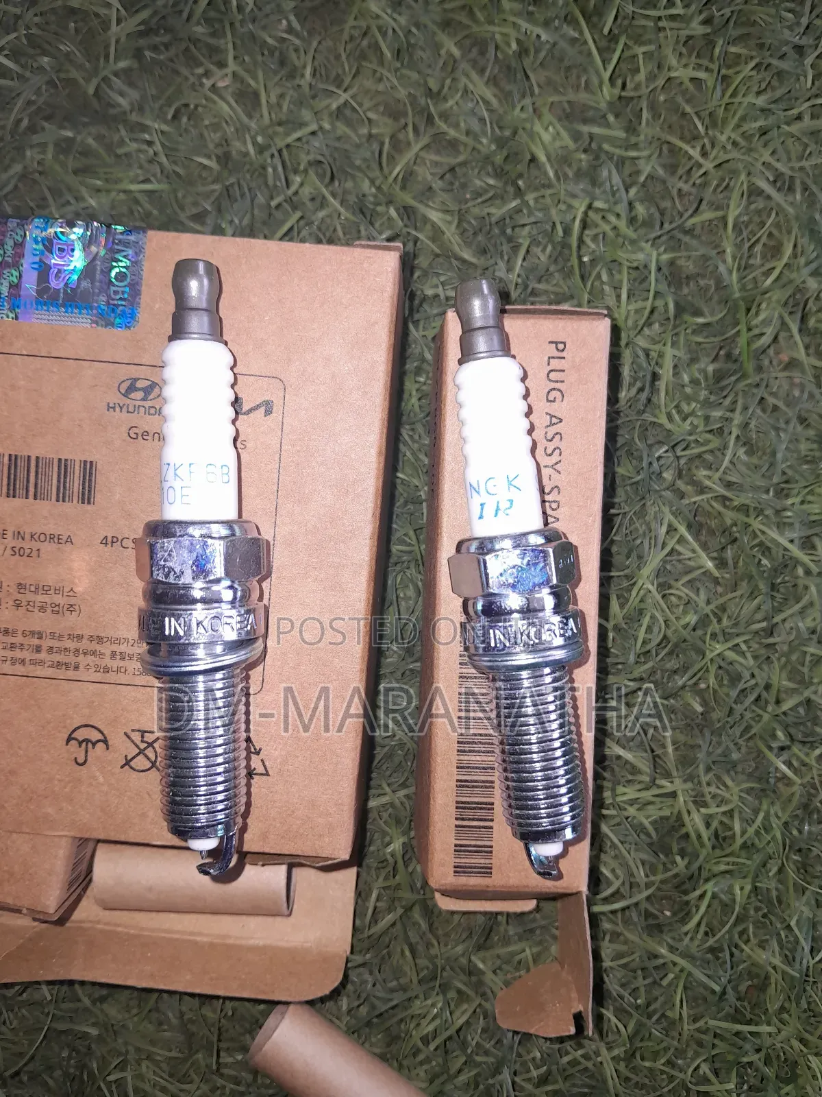 Hyundai and Kia Spark Plugs 16/14 Long