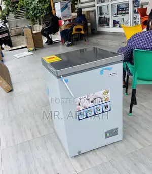 Well Design Pearl PCF-1360-1A Single Door Electric Freezer.