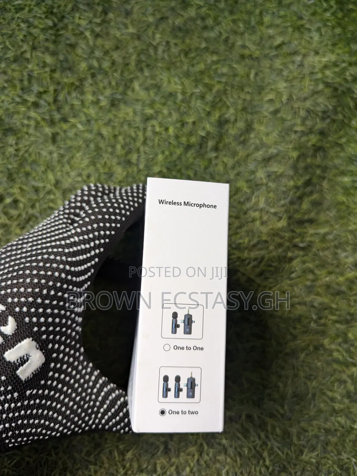 Mini Wireless Microphone (Double Mics)