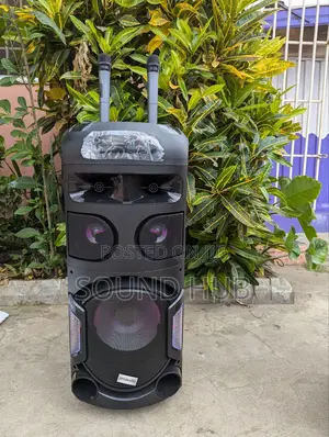 Powerful Sound Speaker With 2 Microphones