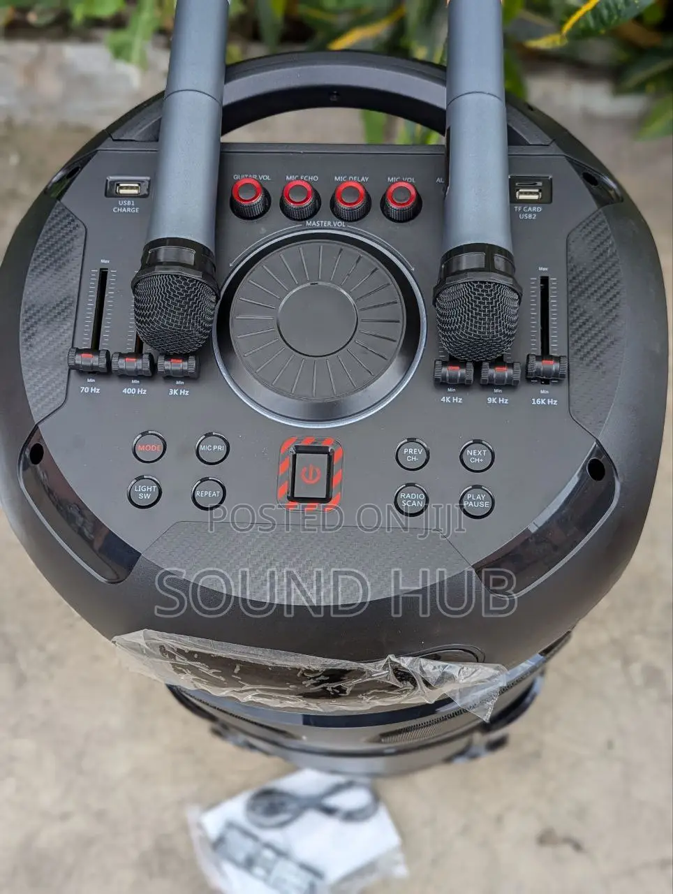 Powerful Sound Speaker With 2 Microphones