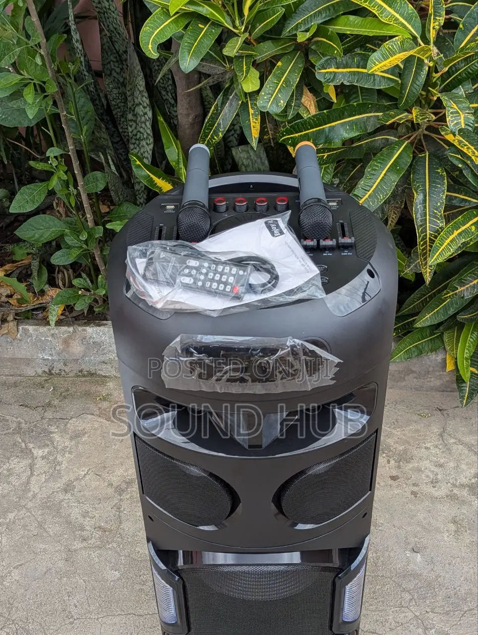 Powerful Sound Speaker With 2 Microphones