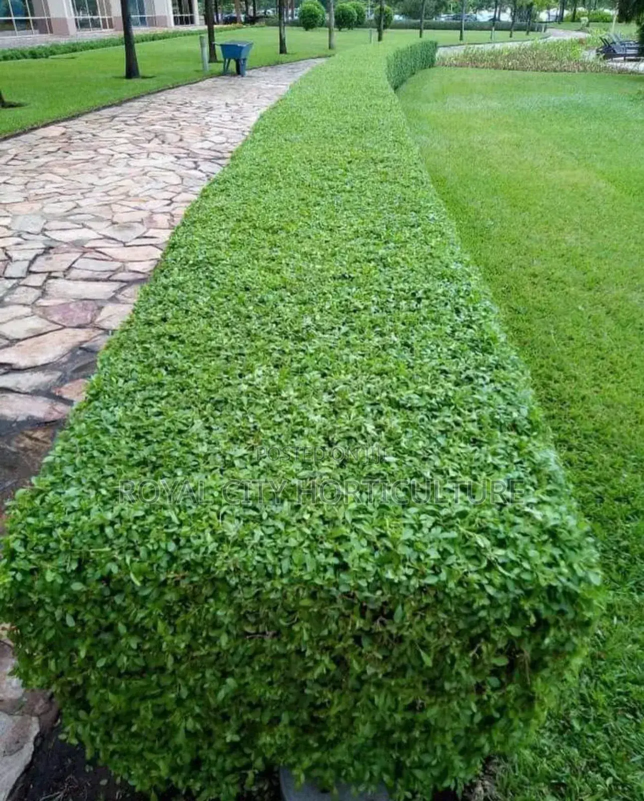 Garden Works, Landscaping and Landscaping Design