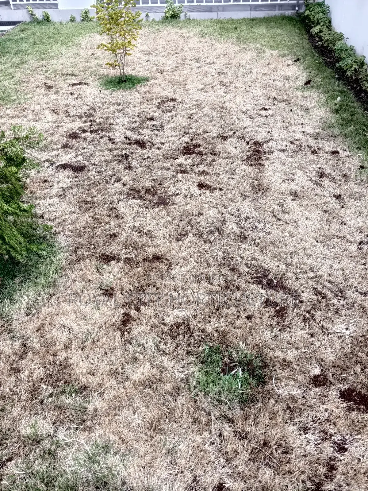 Garden Works, Landscaping and Landscaping Design