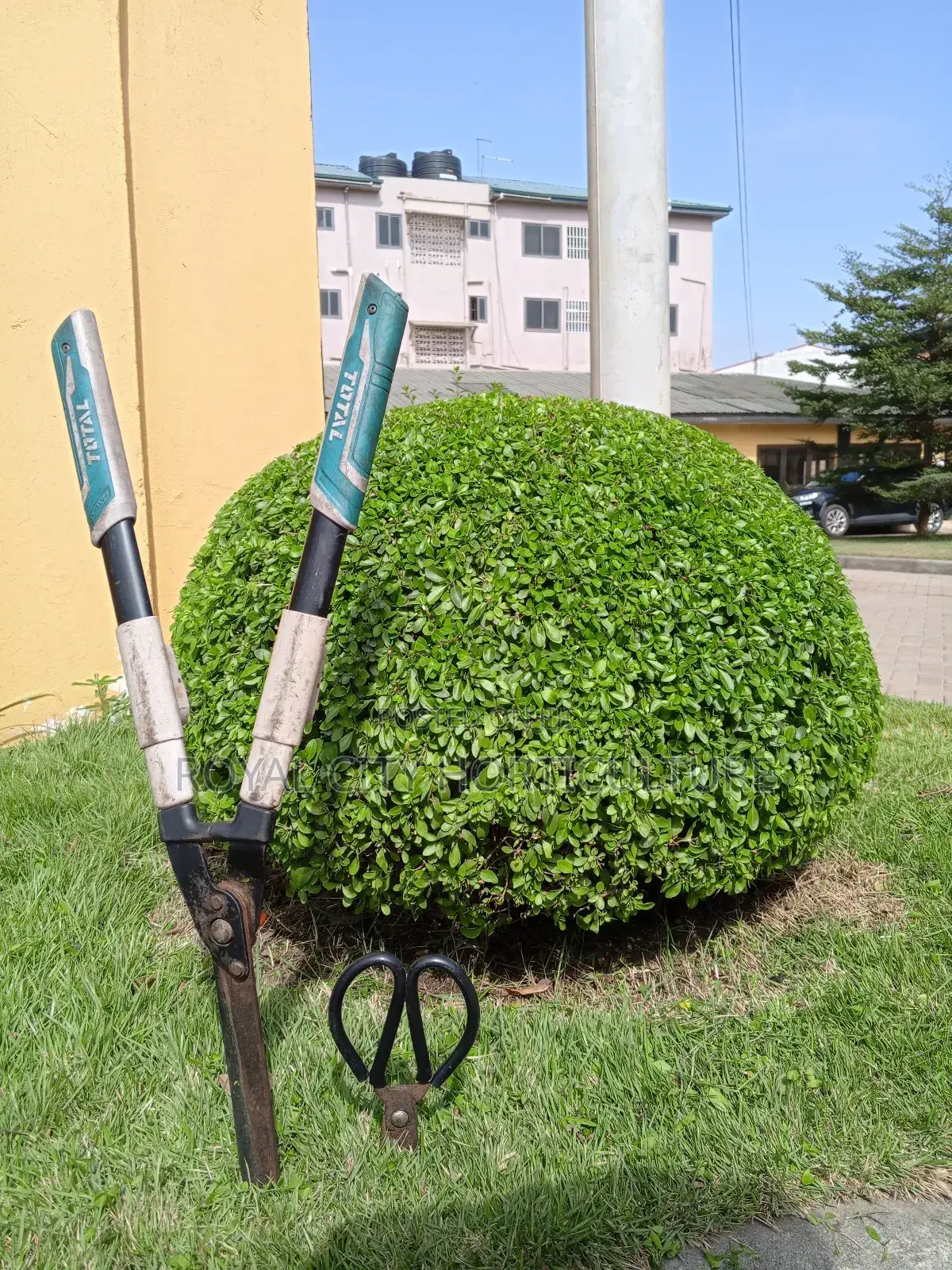 Garden Works, Landscaping and Landscaping Design