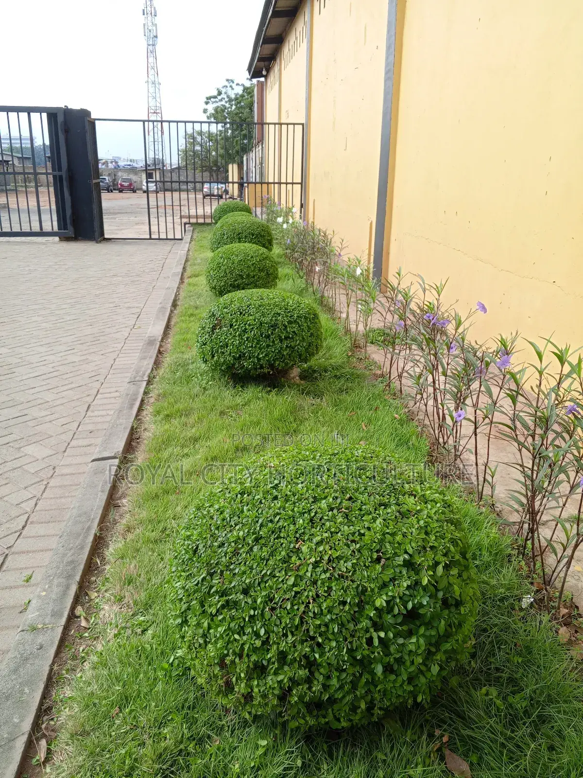 Garden Works, Landscaping and Landscaping Design