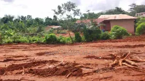 Plot of Land in the Town With No Litigation for Sale
