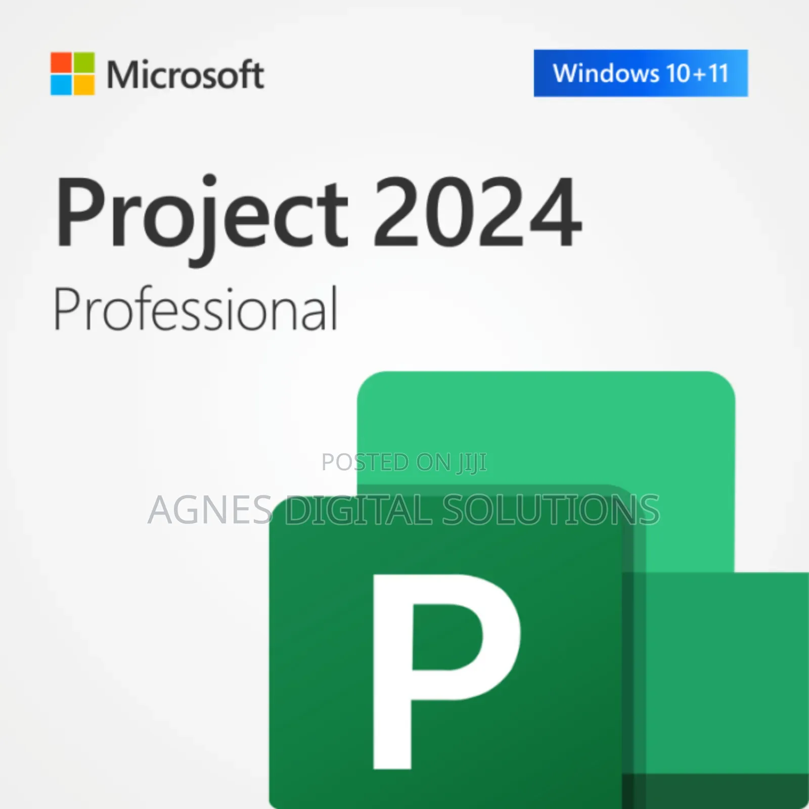 Microsoft Project 2024 Professional 1PC