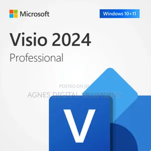 Microsoft Visio 2024 Professional 1PC