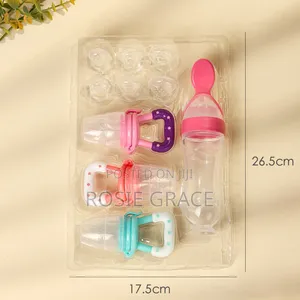 Fruit Pacifier and Feeding Spoon Set/Feeder