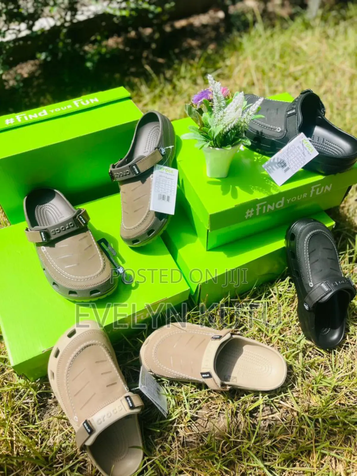 Original Crocs