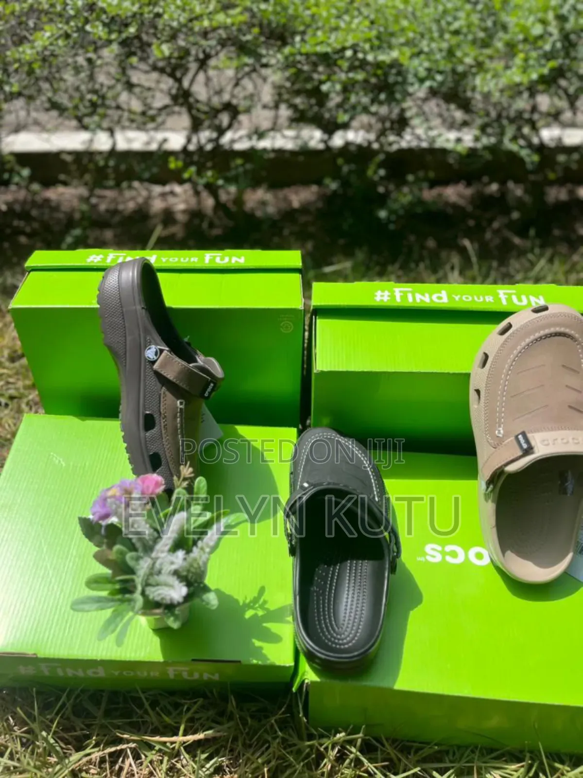 Original Crocs