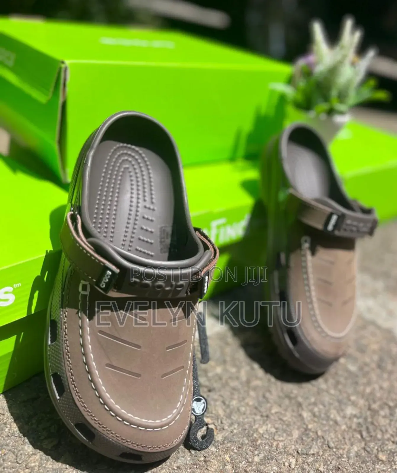 Original Crocs