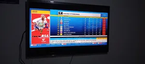 Television