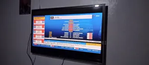 Television