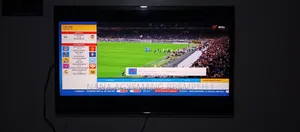Television