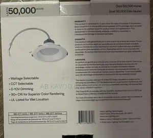 Ceiling Light