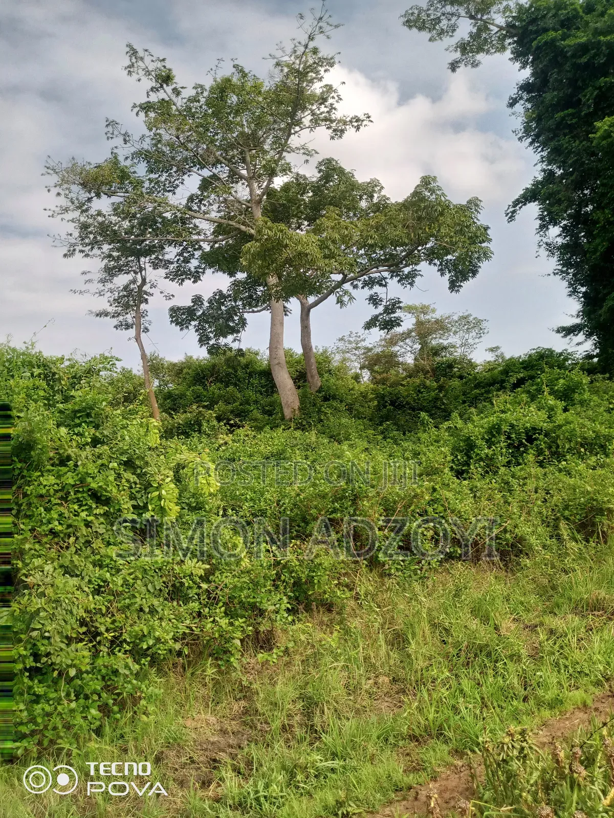 50,000 Acres of Farm Land for Login Lease