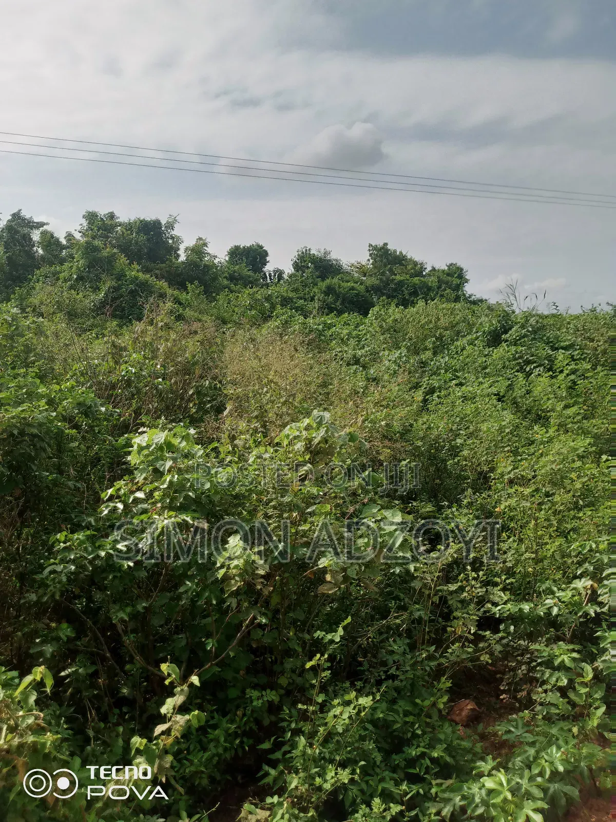 50,000 Acres of Farm Land for Login Lease