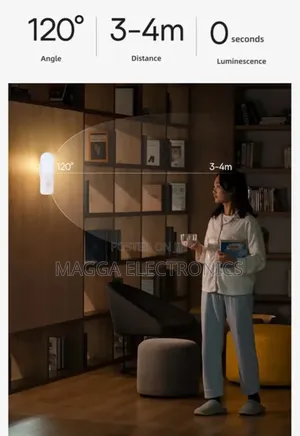 Rechargeable Induction Lights