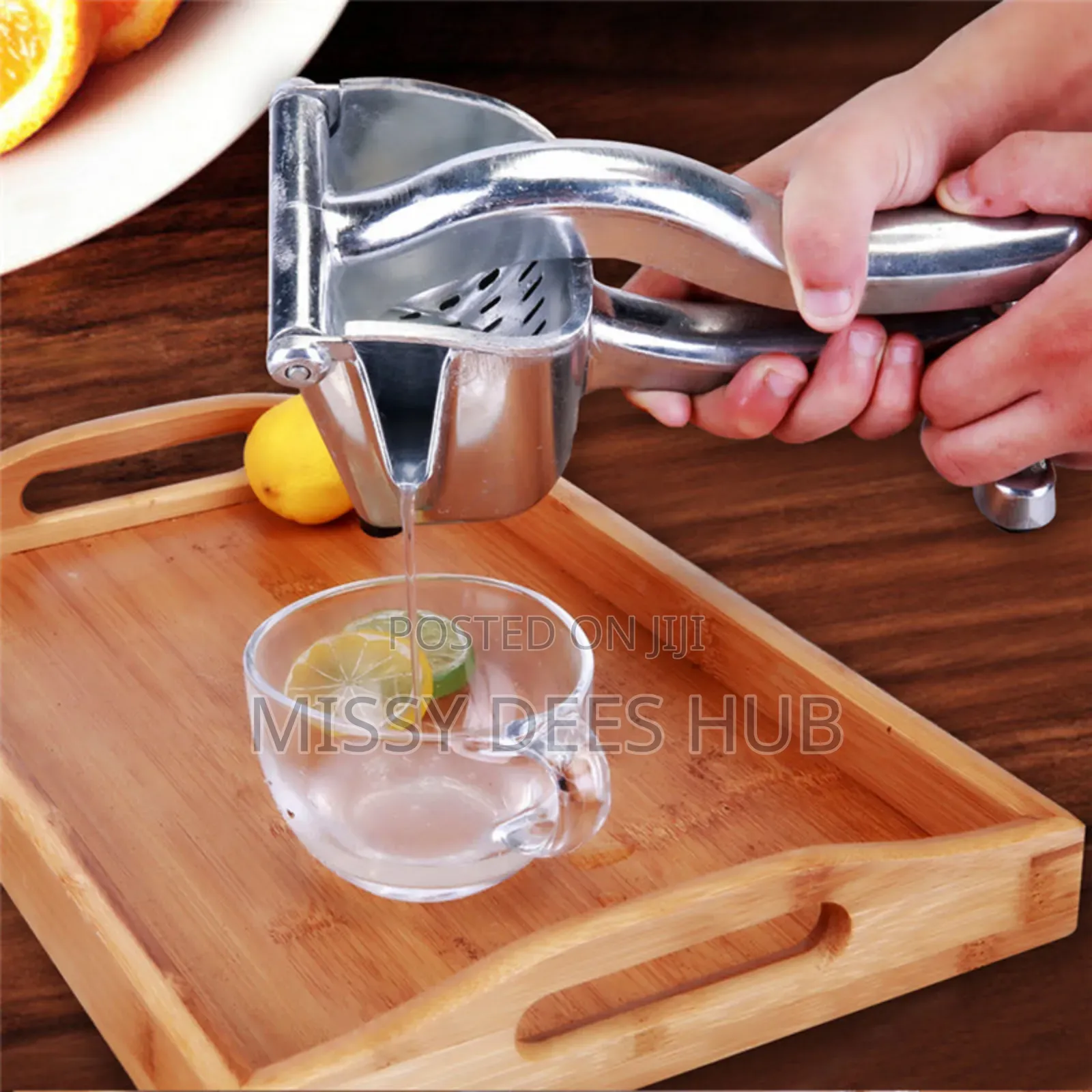 Manual Fruit Press