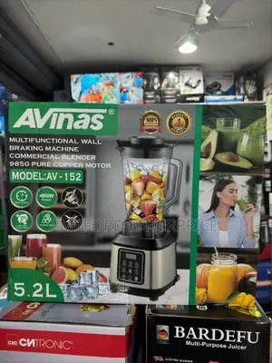 Avinas 5.2l Commercial Digital Blender
