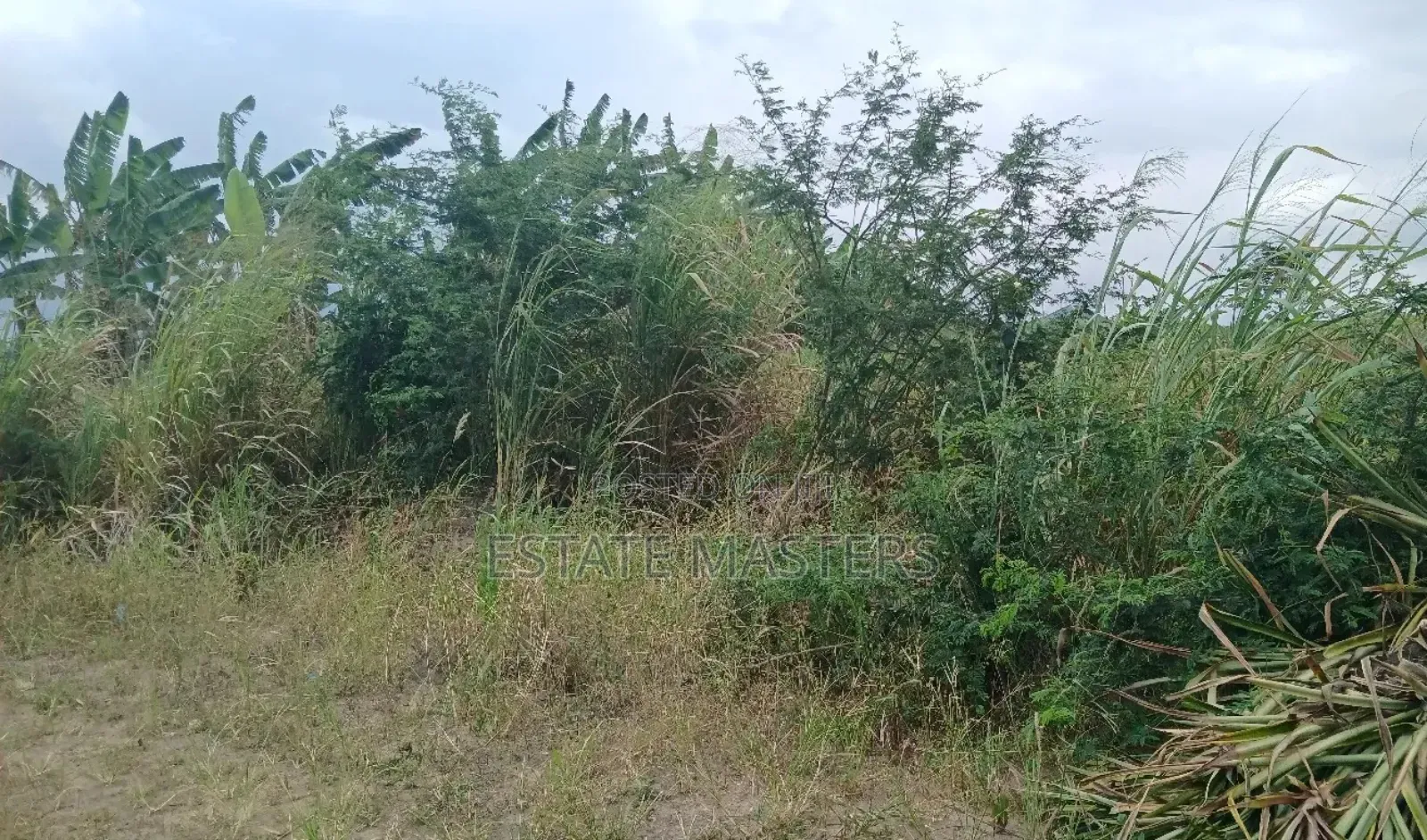 Lands Befitting Your Confort Homes