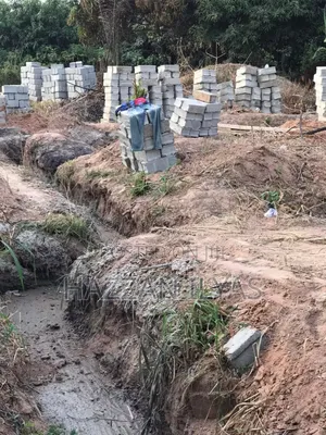 Construction Works We Have Expert Mason’S
