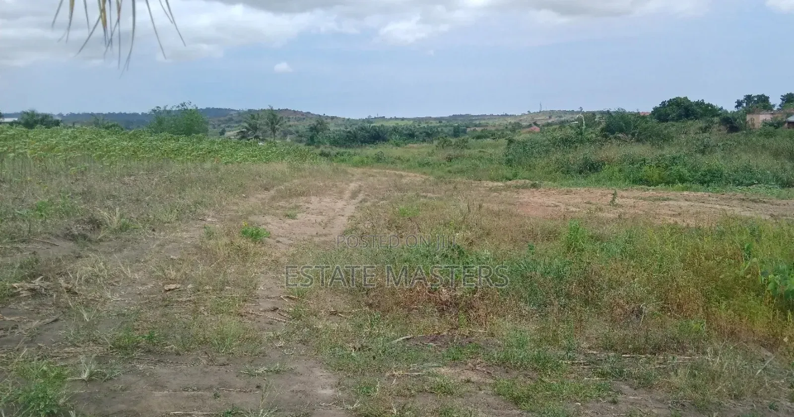 Fantastic Plot of Land for Sale: Coastal Pack