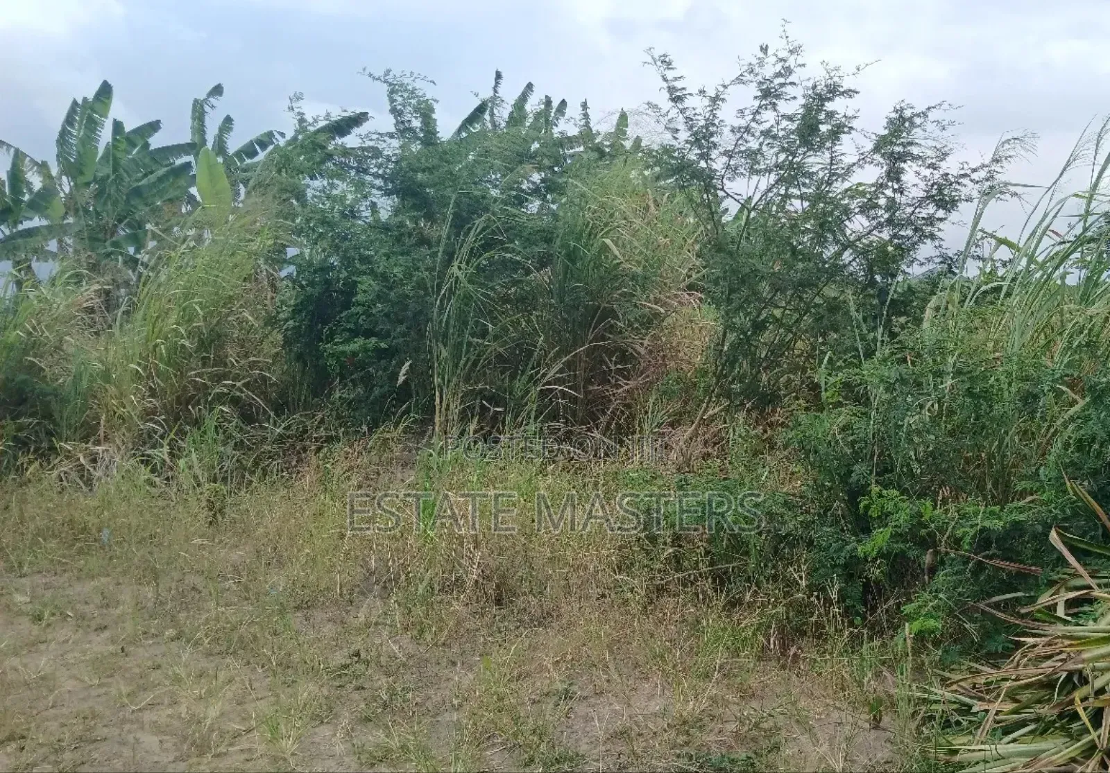 Fantastic Plot of Land for Sale: Coastal Pack