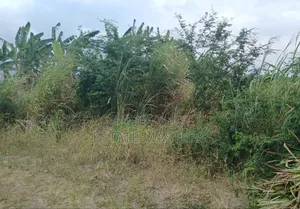 Fantastic Plot of Land for Sale: Coastal Pack