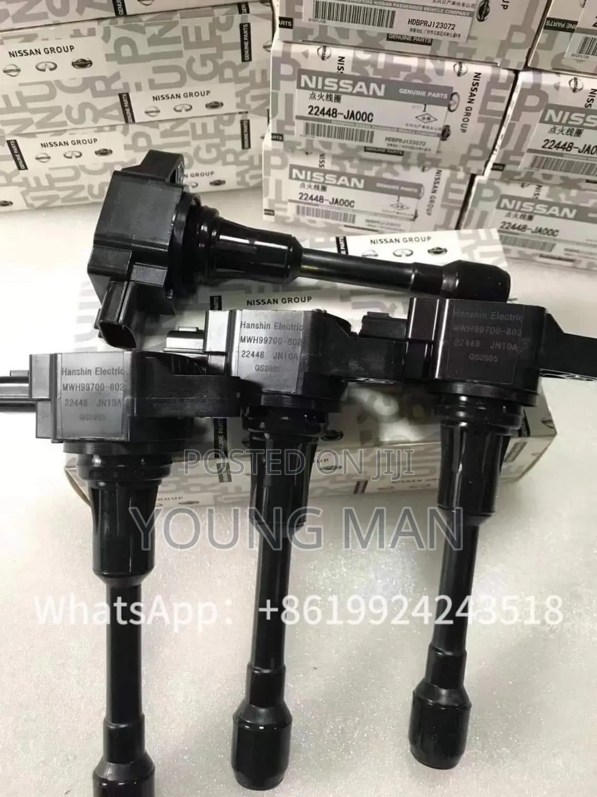 Nissan Sentra, Rogue, Versa, Navara, Altimal Iginition Coil