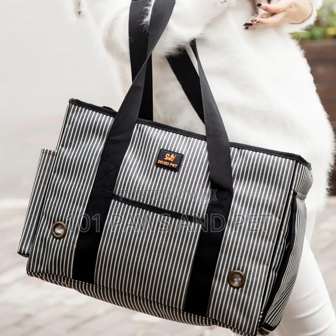 Cute Pet Bag