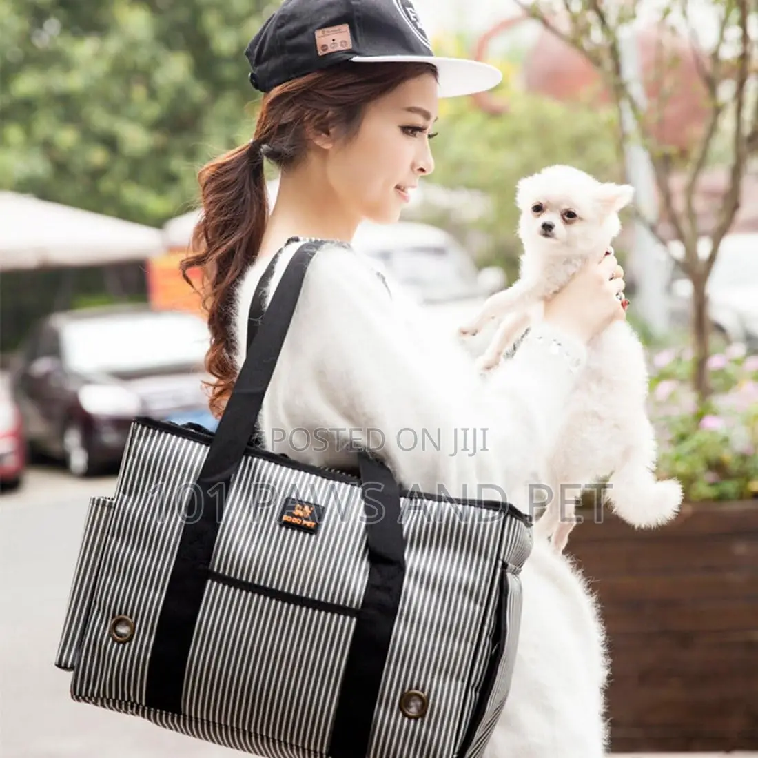 Cute Pet Bag