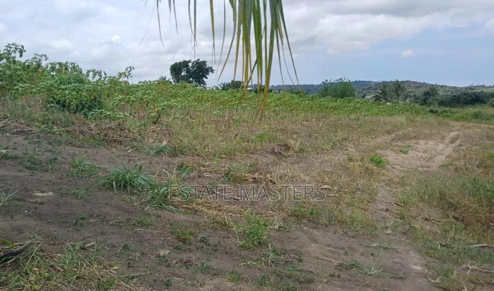 Secure a Plot of Land at Tsopoli Saglime Near New Airport C